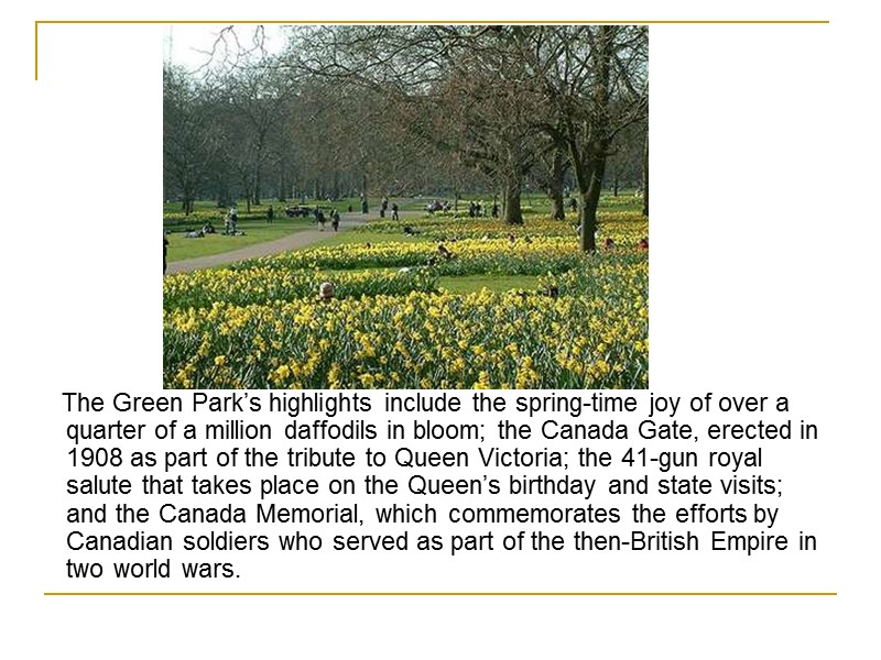The Green Park’s highlights include the spring-time joy of over a quarter of a